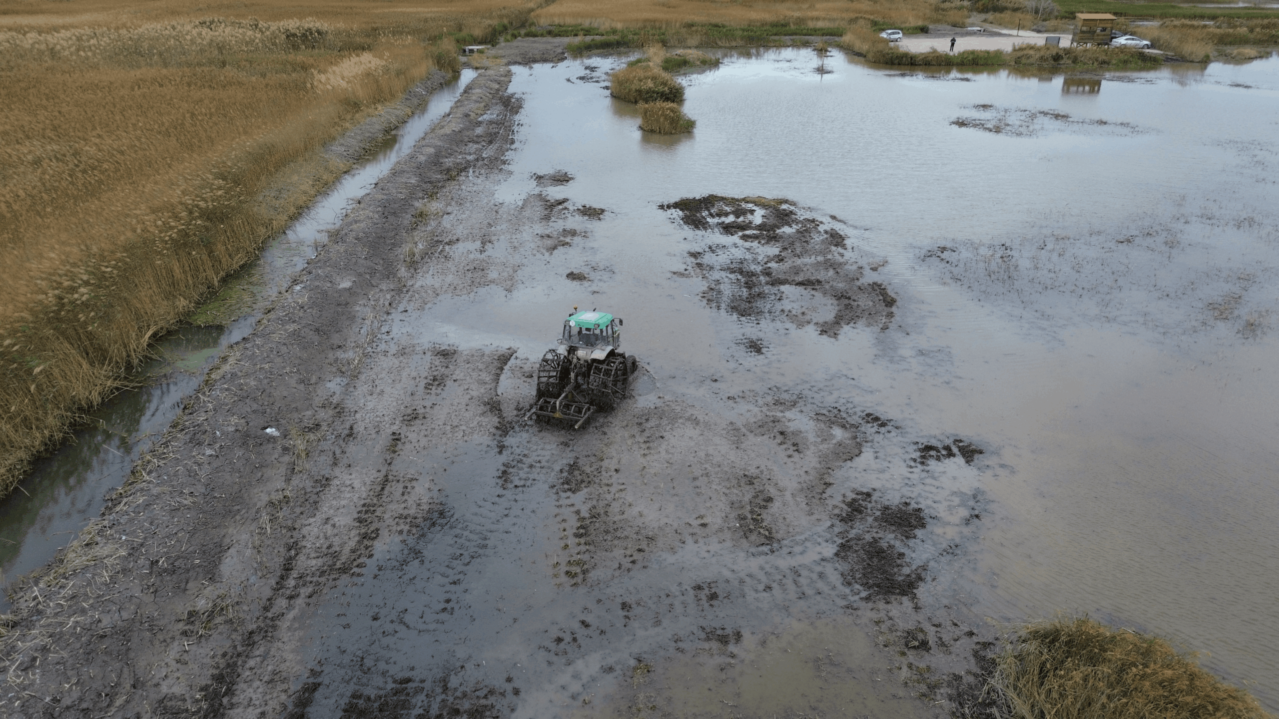 Buenas tardes: Mandamos nota de prensa, agradecemos difusión. La Marjal dels Moros ensaya nuevas formas de gestión para reducir sus emisiones • Fundación Global Nature ha retirado la capa superficial del suelo en una hectárea del humedal valenciano y segará otras 10 en los próximos meses. • Un equipo de la Universitat de València medirá sobre el terreno cómo varían las emisiones. Sagunt (València),16 de septiembre de 2026
